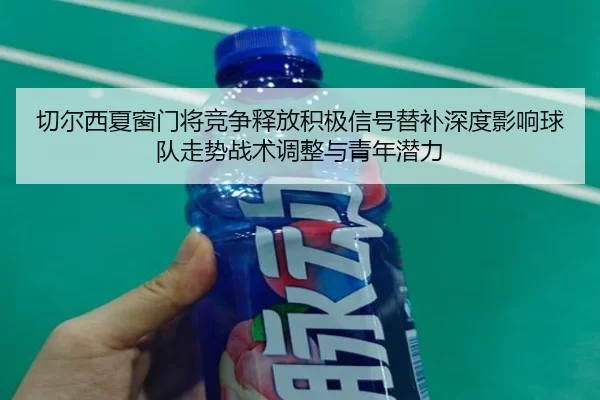 切尔西夏窗门将竞争释放积极信号替补深度影响球队走势战术调整与青年潜力